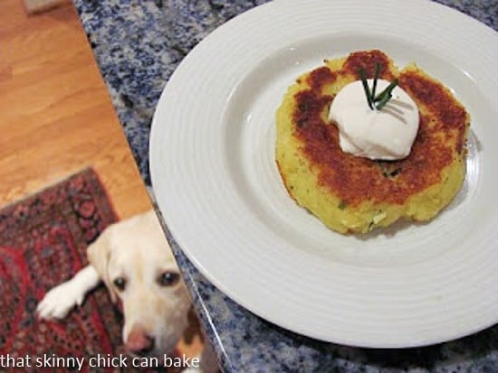 Gruyere Potato Cakes with a yellow lab