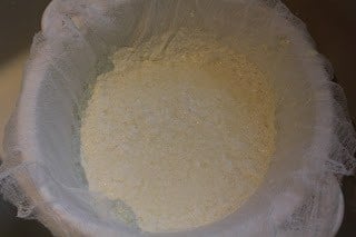 homemade ricotta draining in cheesecloth