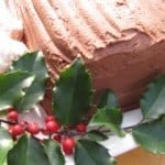 a Christmas Yule Log Cake