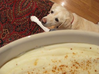 Lambeau, the dog, eying these Easy Puffed Potatoes.