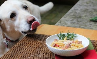 Lambeau loves this easy Italian Skillet Pasta!