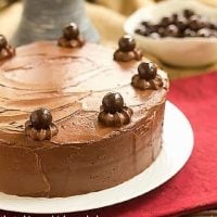 Chocolate Layer Cake on a white cake plate