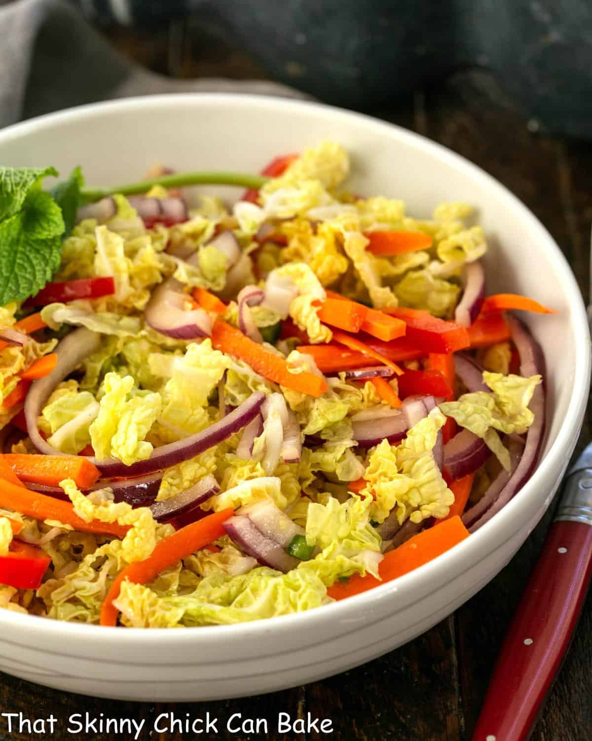 Vietnamese Chicken Salad in a white serving bowl.