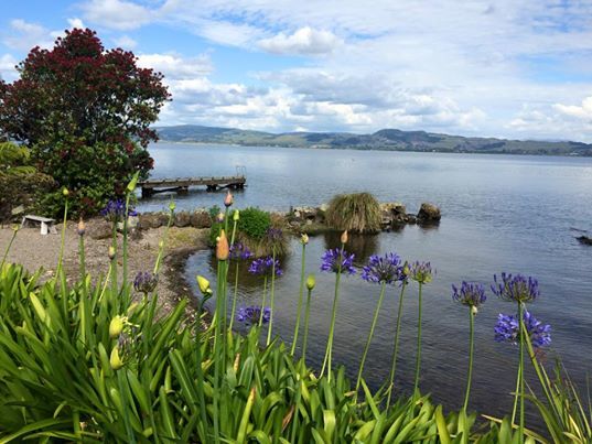 View from our accommodations in Rotorua, New Zealand Rotorua View