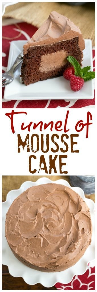 Tunnel of Mousse Cake