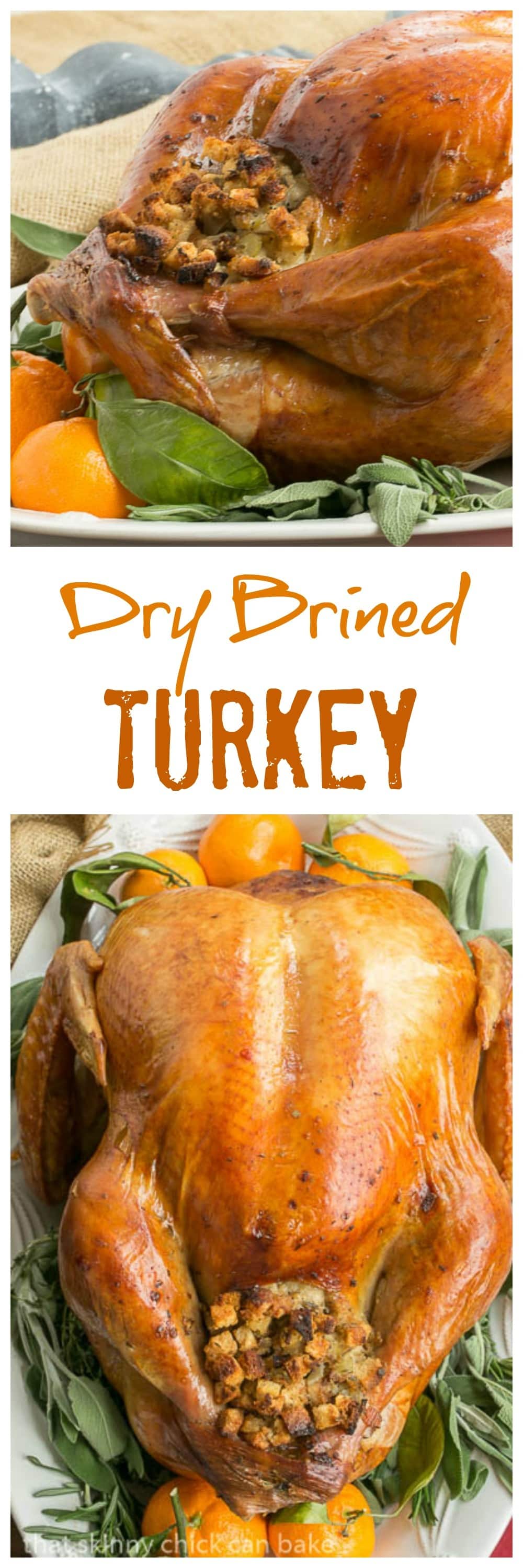 Dry Brined Turkey - That Skinny Chick Can Bake