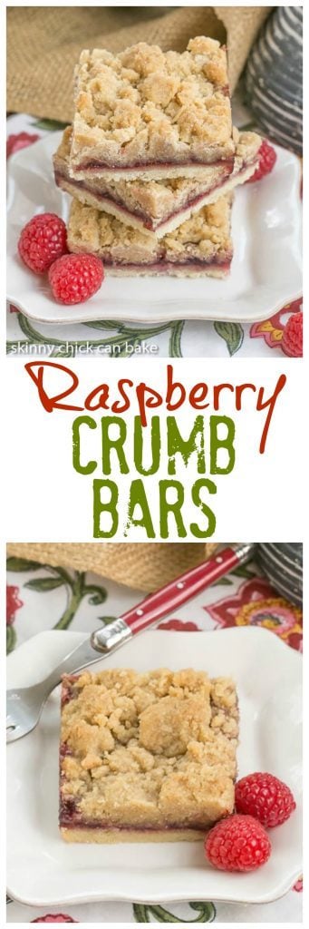 Raspberry Crumb Bars | Simple, but delectable bars with a layer of raspberry jam and a thick crumb topping!