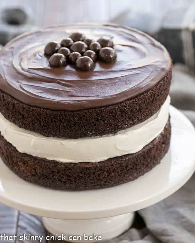 If You Can Read This, Bring Me Cake Socks — Lavley