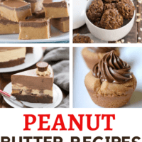 Best Peanut Butter Lovers Recipes collage with 4 photos above a title text box.