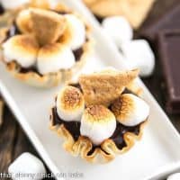 Mini S'mores Tarts | Easy, elegant and irresistible!