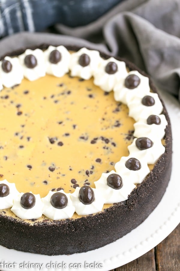 Close view of Mocha Cheesecake with Chocolate Chips on a white cake plate