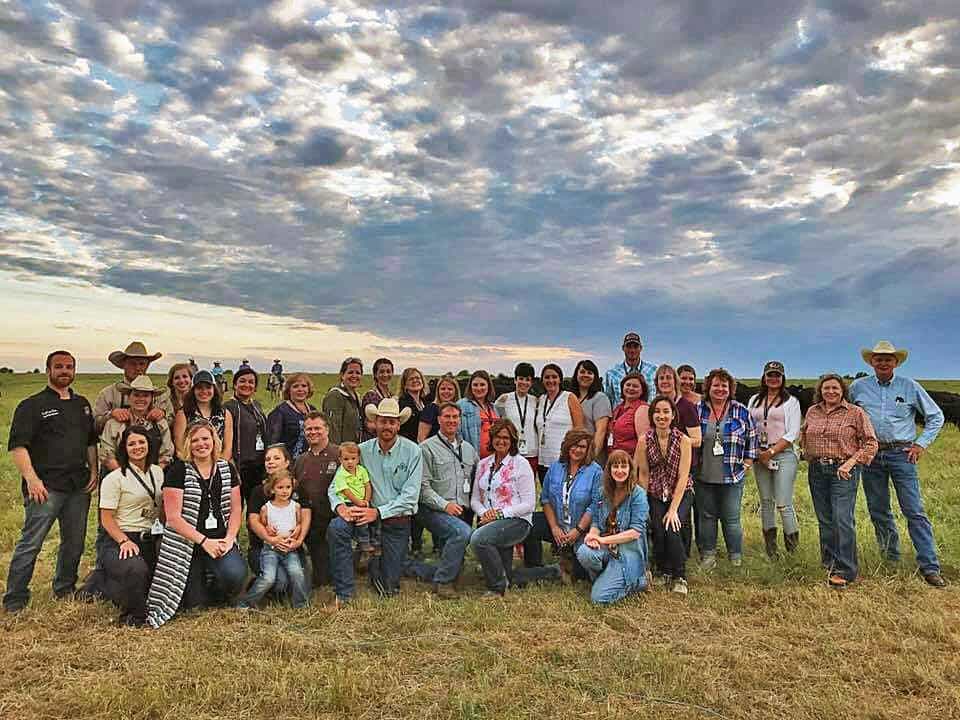 Group shot of bloggers in cattle country.