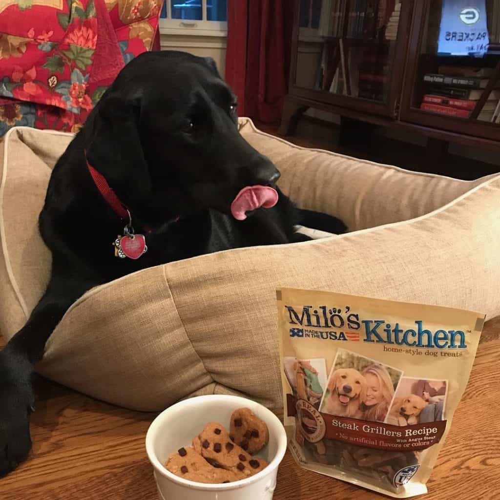 Peanut Butter Dog Bone Treat in a white dish next to a black lab in her bed