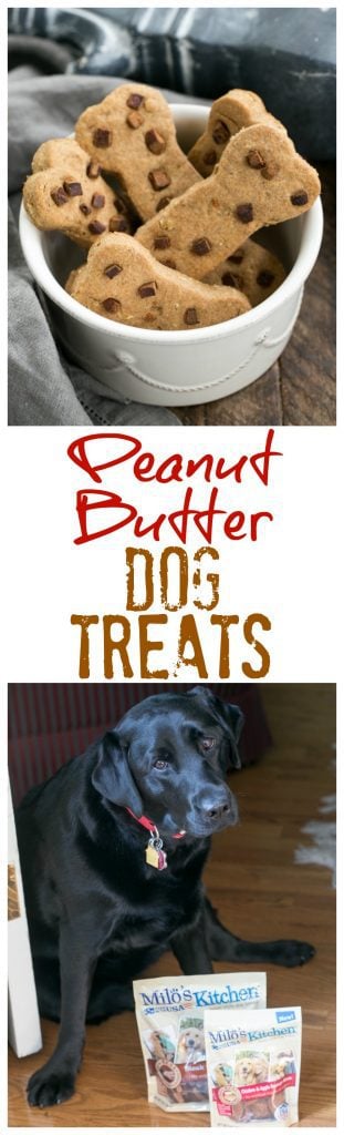 Easy Homemade Peanut Butter Dog Treats