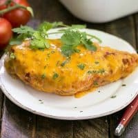 Easy Salsa Chicken - a simple recipe that will be a hit with your family!