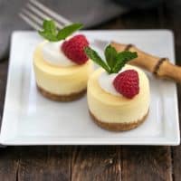 Mini Margarita Cheesecakes featured image