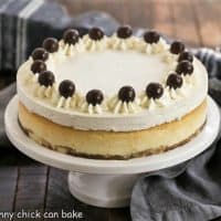 Tiramisu Cheesecake on a white ceramic cake stand