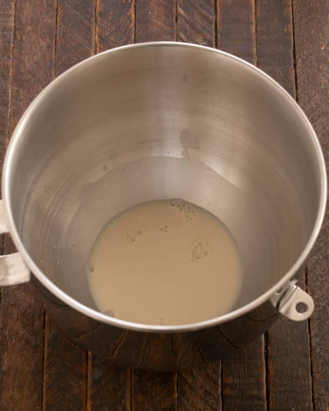 Yeast added to mixer bowl.