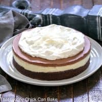 Coconut Brownie Cake on a white ceramic plate.